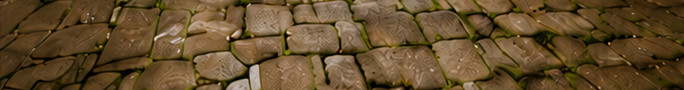 pavers_before pavers_before