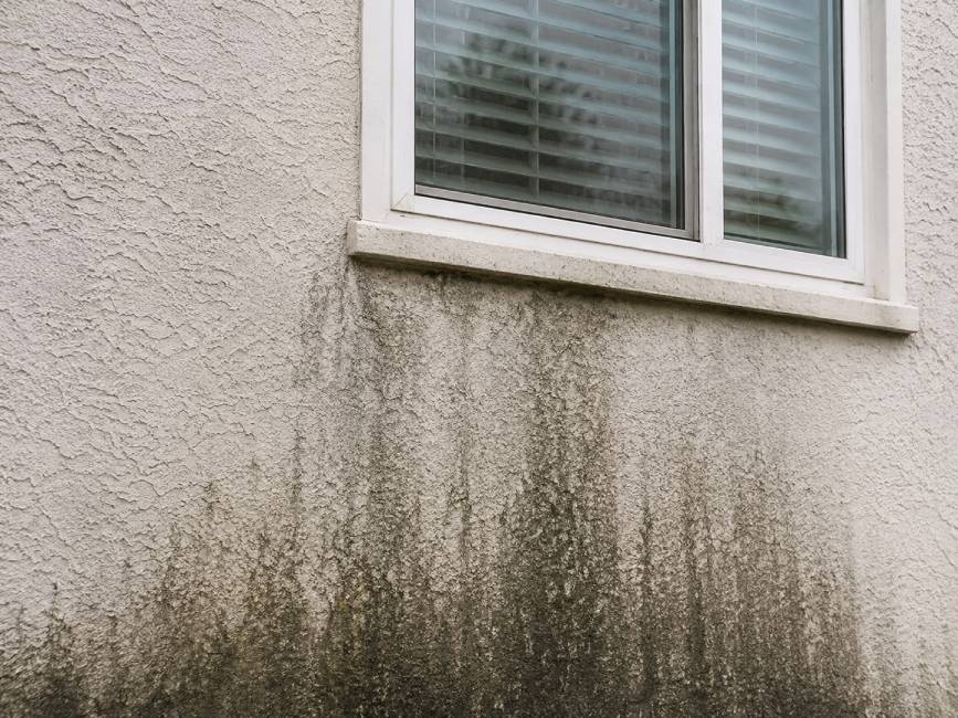 Stucco wall before cleaning